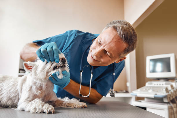 Best Emergency Denture Repair in Madill, OK
